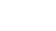 The Akashic Protocols™  - Home
