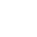 Institute of Akashic Protocols™