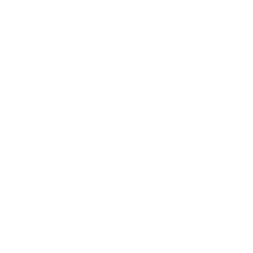Institute of Akashic Protocols™